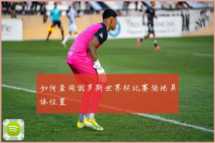 如何查询俄罗斯世界杯比赛场地具体位置