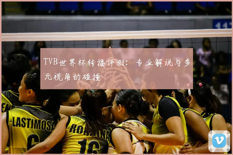 TVB世界杯转播评测:专业解说与多元视角的碰撞