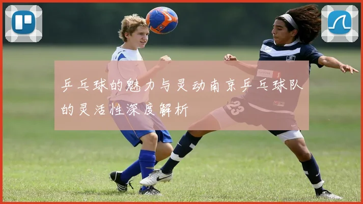 乒乓球的魅力与灵动南京乒乓球队的灵活性深度解析