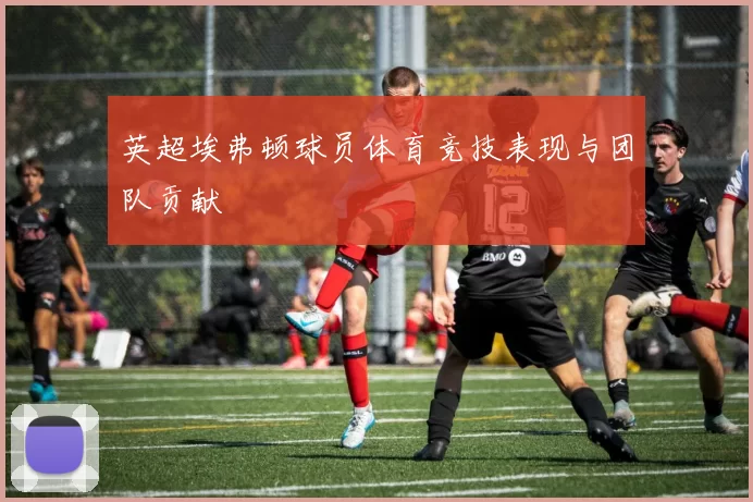 英超埃弗顿球员体育竞技表现与团队贡献