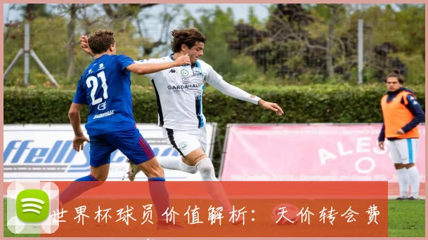 世界杯球员价值解析：天价转会费背后的秘密