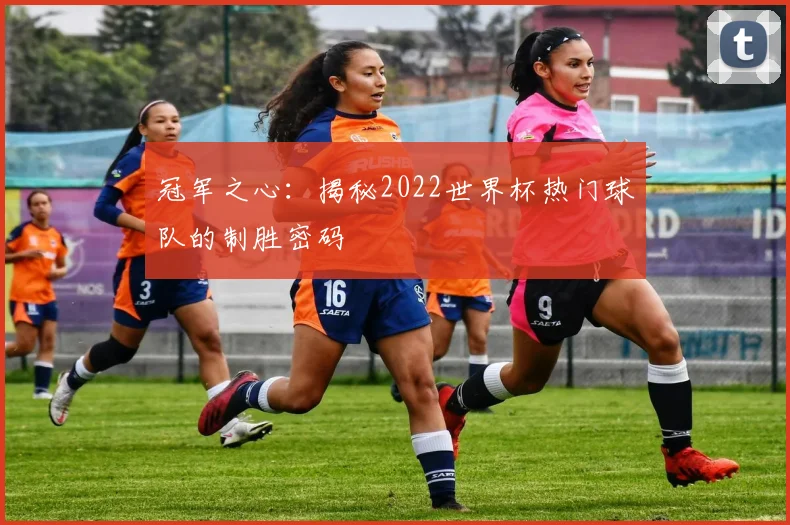 冠军之心：揭秘2022世界杯热门球队的制胜密码