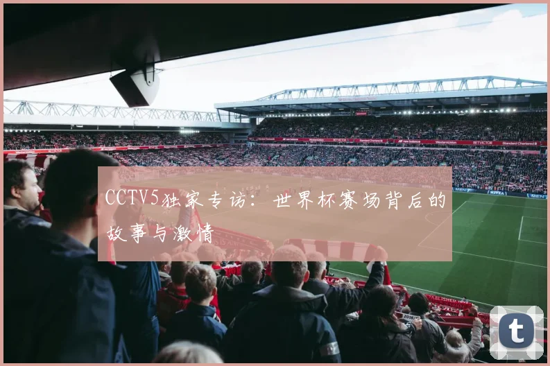 CCTV5独家专访：世界杯赛场背后的故事与激情