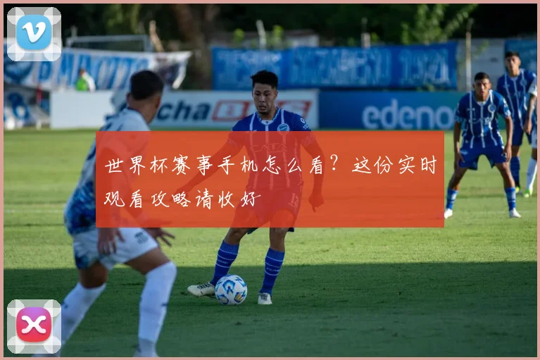 世界杯赛事手机怎么看?这份实时观看攻略请收好