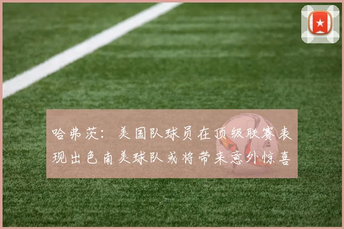 哈弗茨：美国队球员在顶级联赛表现出色南美球队或将带来意外惊喜