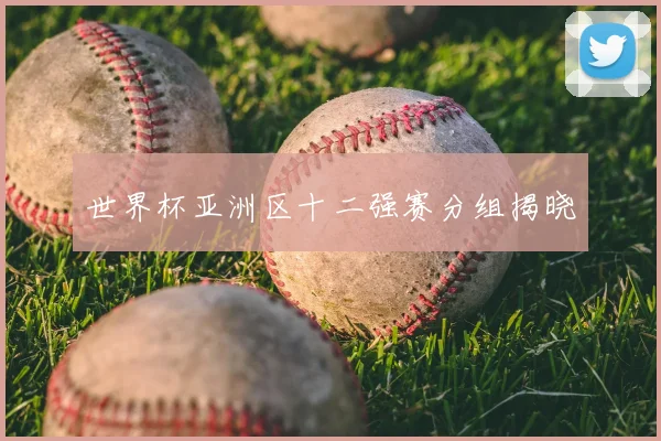 世界杯亚洲区十二强赛分组揭晓