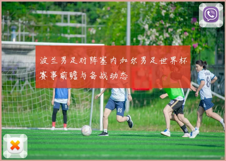 波兰男足对阵塞内加尔男足世界杯赛事前瞻与备战动态