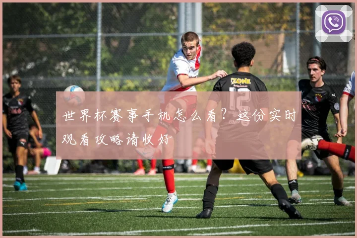 世界杯赛事手机怎么看？这份实时观看攻略请收好