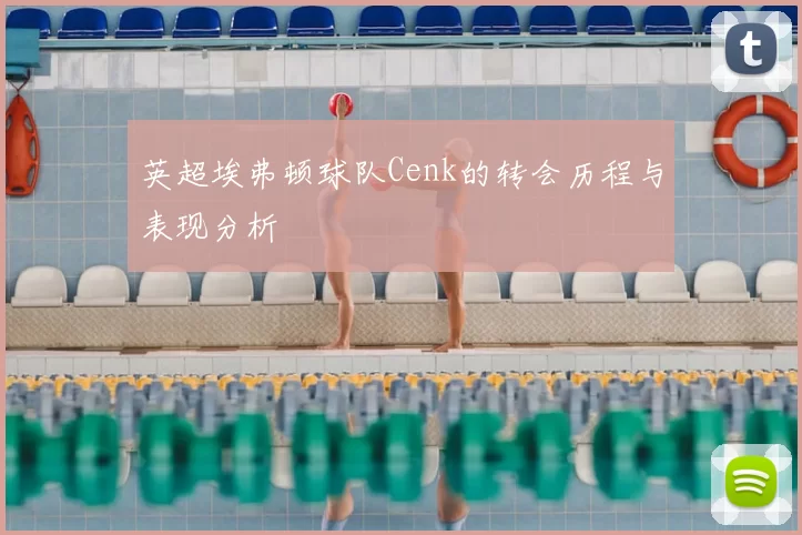 英超埃弗顿球队Cenk的转会历程与表现分析