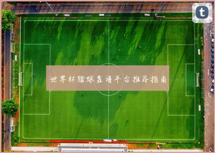 世界杯赌球靠谱平台推荐指南
