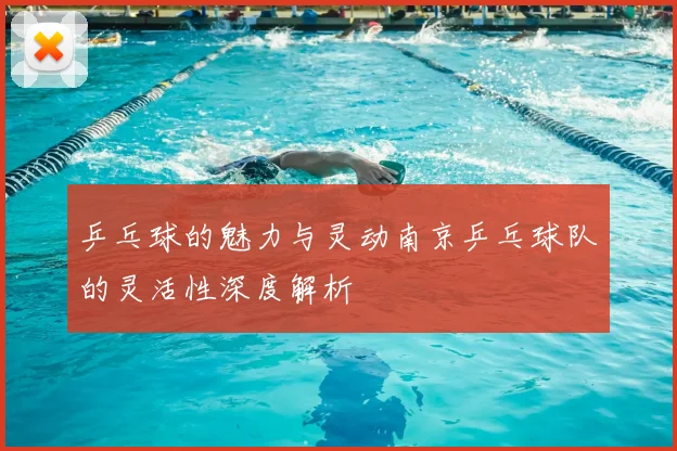 乒乓球的魅力与灵动南京乒乓球队的灵活性深度解析